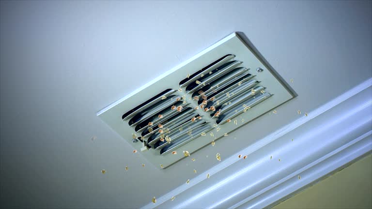 Best HVAC Maintenance and Cleaning  in Euharlee, GA