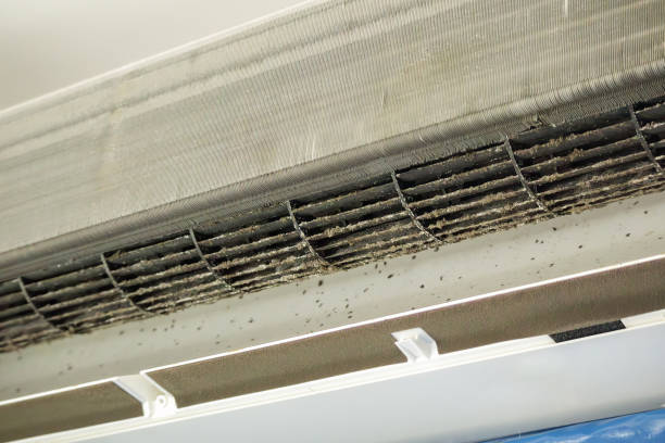 Best Best Air Duct Cleaning Company  in Euharlee, GA